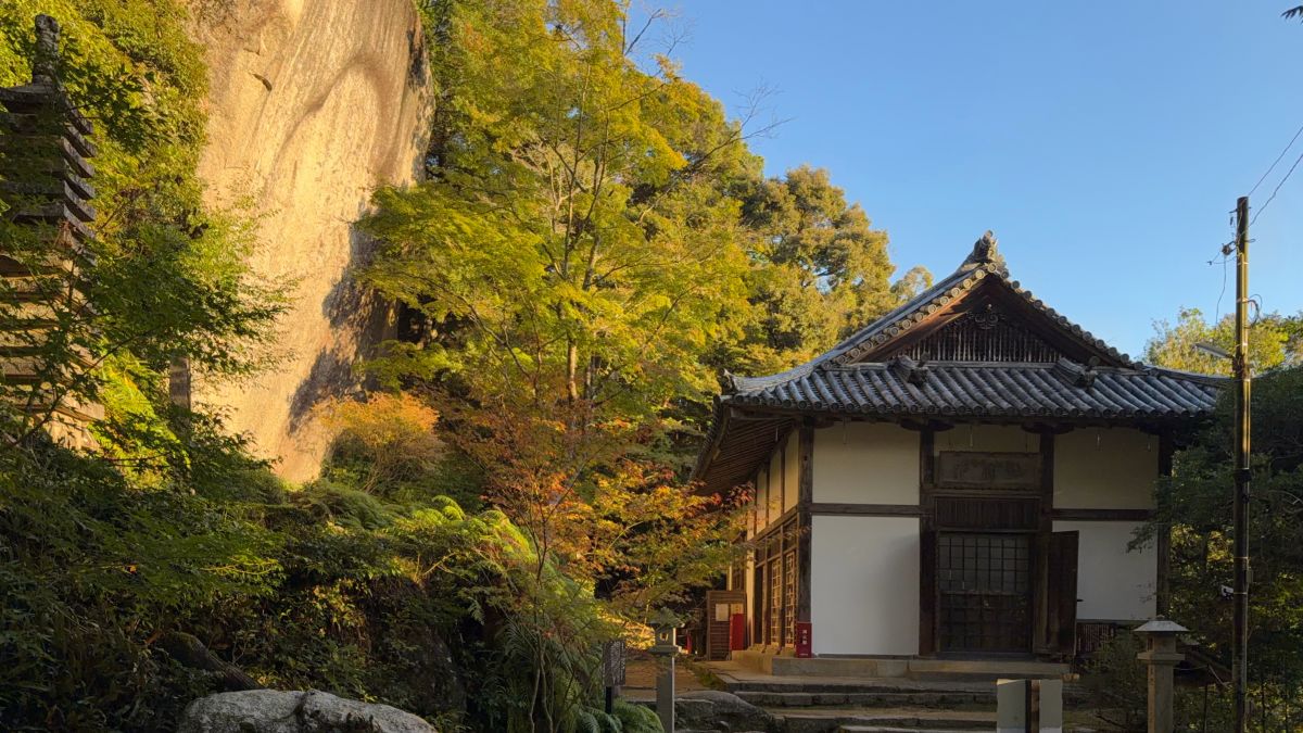 modelCourse_thumbnail