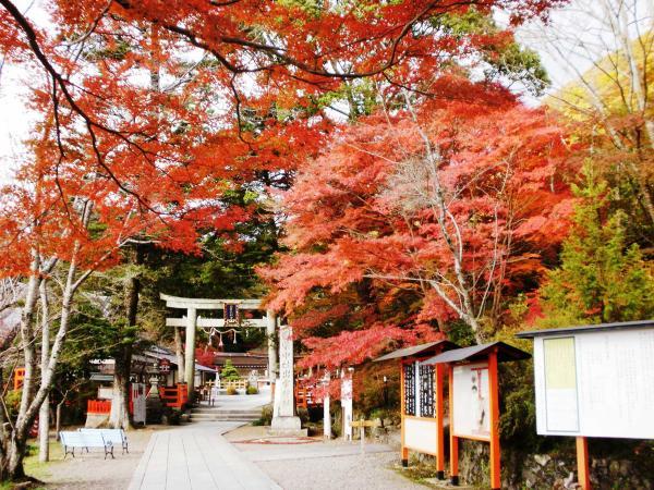 modelCourse_thumbnail