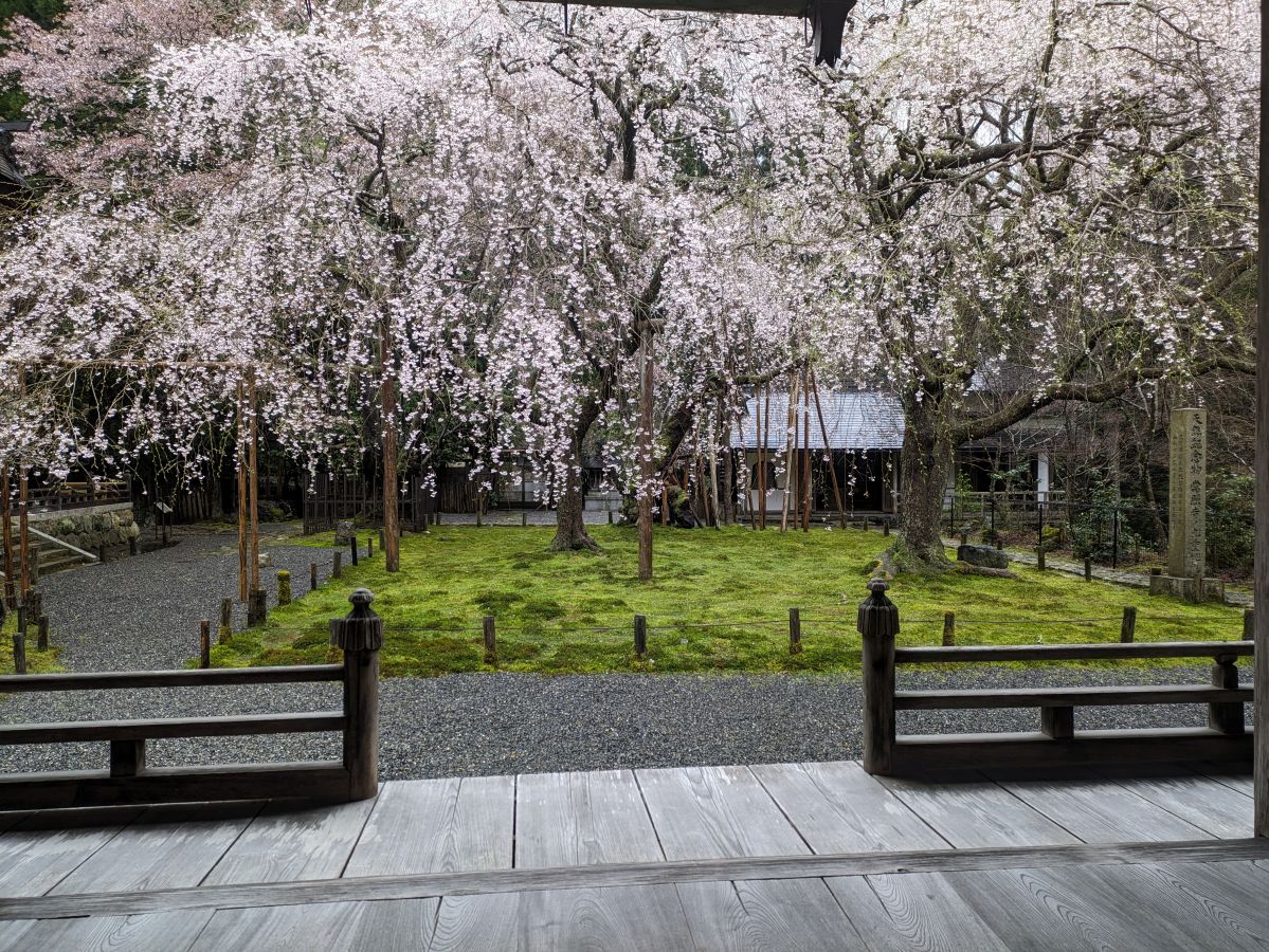 modelCourse_thumbnail