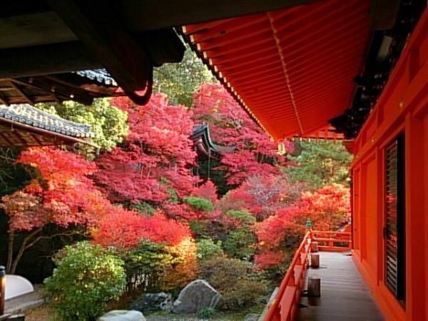 modelCourse_thumbnail