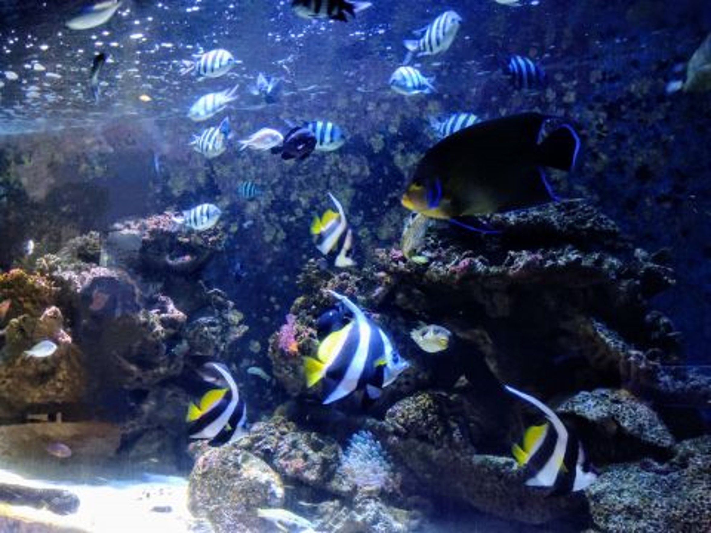 modelCourse_thumbnail