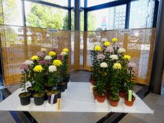 thumbnail_7493