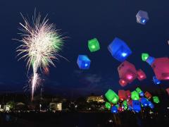 thumbnail_7471