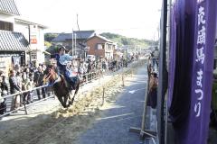 thumbnail_7495