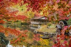 thumbnail_7485