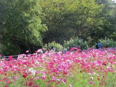 thumbnail_7148