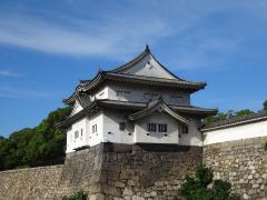 thumbnail_5447