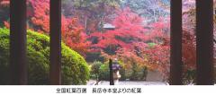 thumbnail_7015