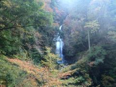 thumbnail_6974