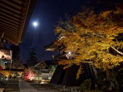 thumbnail_7433