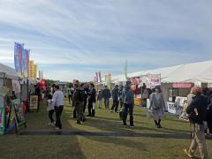 thumbnail_7147
