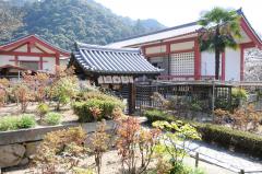 thumbnail_7031