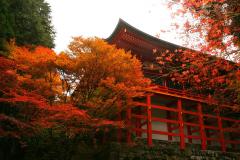 thumbnail_6961