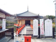 thumbnail_7524