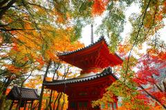 thumbnail_7502