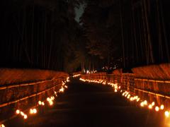 thumbnail_7065