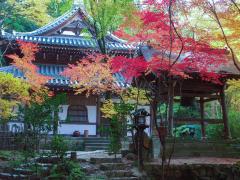 thumbnail_7584