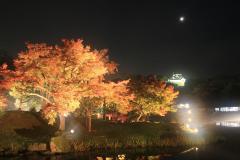 thumbnail_7531