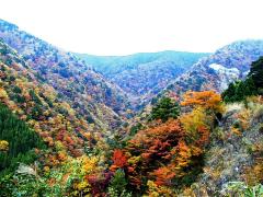 thumbnail_6978