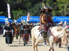 thumbnail_7446