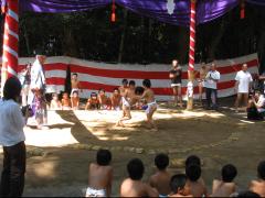 thumbnail_7079