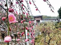 thumbnail_7567