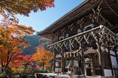 thumbnail_7468