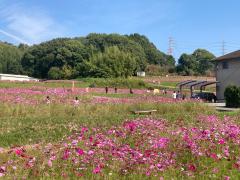 thumbnail_7401