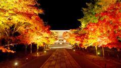 thumbnail_7166