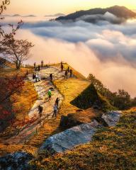 thumbnail_6136