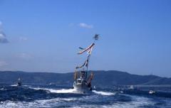 thumbnail_6952
