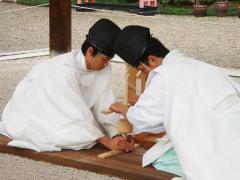 thumbnail_7574