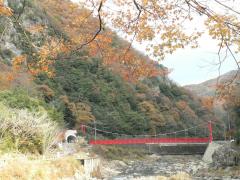 thumbnail_7521