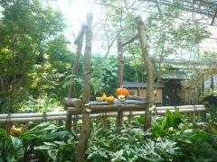 thumbnail_6958