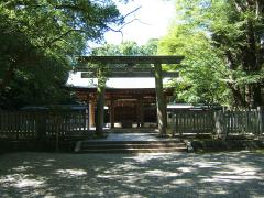 thumbnail_6911