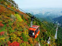 thumbnail_7085