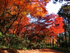 thumbnail_7461