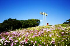 thumbnail_6969