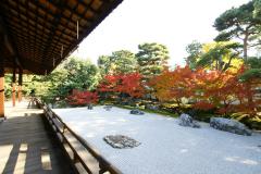 thumbnail_6769