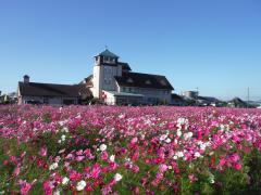 thumbnail_6982