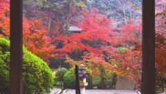thumbnail_7529