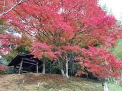 thumbnail_7474