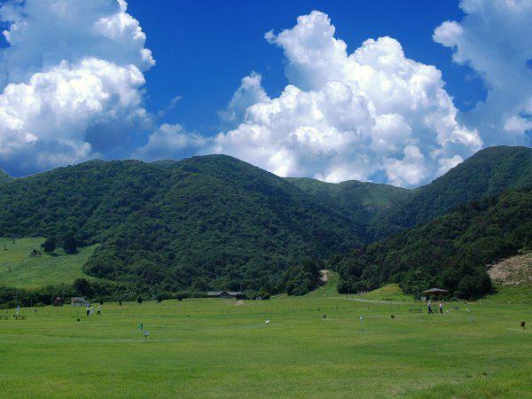 https://www.db.kansai-maas.jp/image/photos/00bb46a5-12a5-43e9-b5fc-1f3796f53dfb.jpg