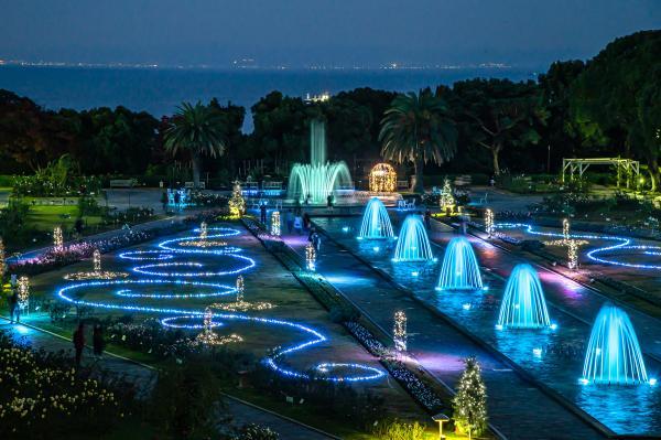 https://www.db.kansai-maas.jp/image/photos/01877875-b9ee-433c-8f69-34107efe1e4c.jpg