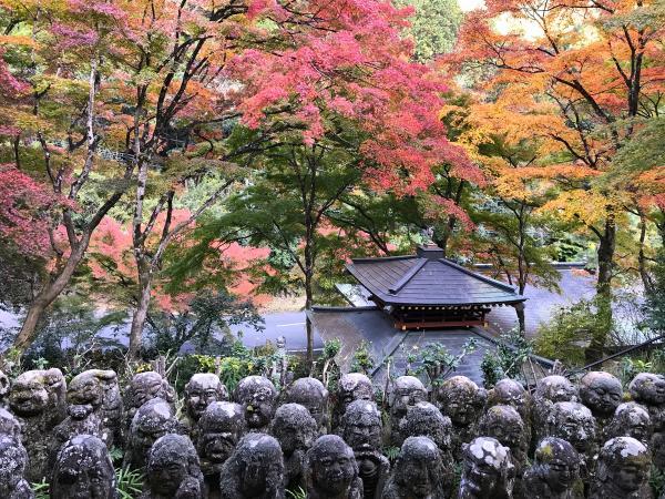 https://www.db.kansai-maas.jp/image/photos/02e68374-e4e9-4954-b00a-80c0d5b8cb43.jpg
