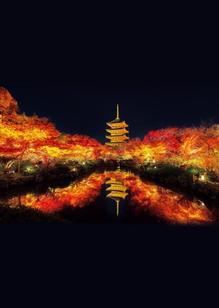 https://www.db.kansai-maas.jp/image/photos/041147f4-9704-4ae8-9691-f8b4631fc502.jpg