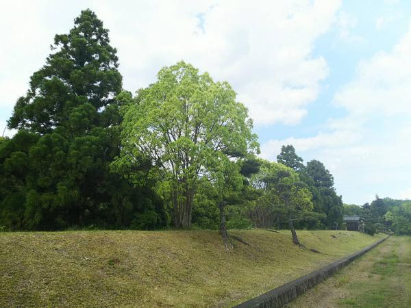 https://www.db.kansai-maas.jp/image/photos/047f6e3e-e7b2-422b-b7da-46c146297ed0.jpg