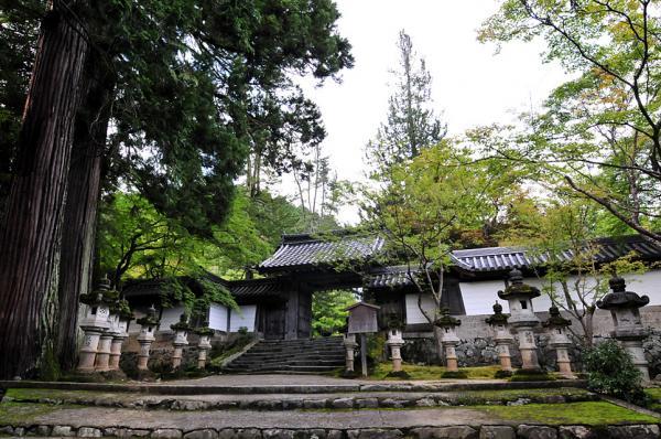 https://www.db.kansai-maas.jp/image/photos/04a286ea-fe7a-4cc8-975b-32eb69686d26.jpg