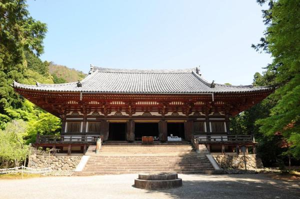 https://www.db.kansai-maas.jp/image/photos/04ba4934-bd12-4804-9e66-9490918317eb.jpg
