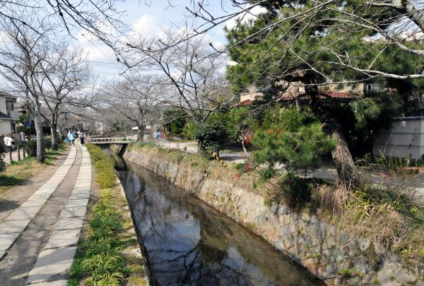 https://www.db.kansai-maas.jp/image/photos/04bdd24b-c669-4b26-ae0d-6df064bacdfb.jpg